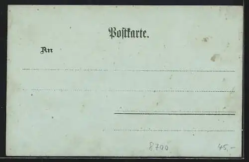 Mondschein-Lithographie Würzburg, Luitpold-Denkmal, Kilianbrunnen, Panorama