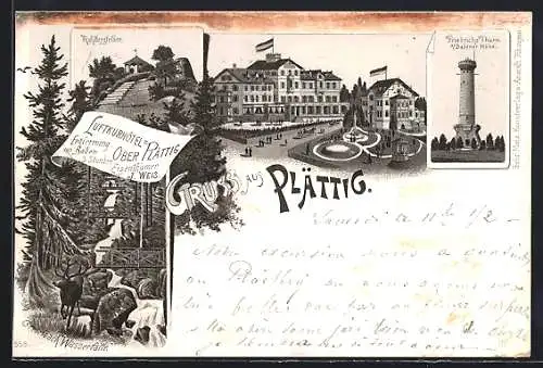 Lithographie Plättig, Luftkurhotel Oberplättig, Bes. J. Weis, Rothbergfelsen, Friedrichsturm