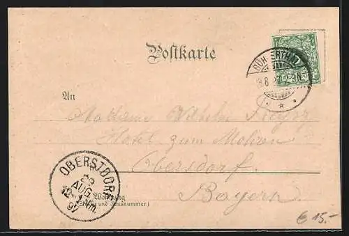 Lithographie Plättig, Luftkurhotel Oberplättig, Bes. J. Weis, Rothbergfelsen, Friedrichsturm