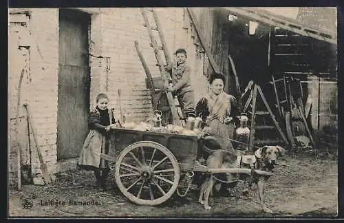 AK Laitière flamande, Milchfrau mit Hundegespann