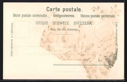 Lithographie Toggenburg, Ortspartie mit Kuhhirten, Verkehrsverein Toggenburg