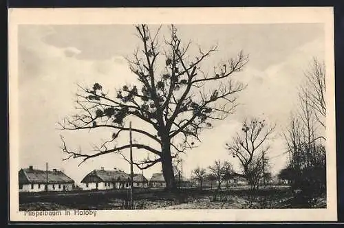 AK Holoby, Teilansicht mit Mispelbaum