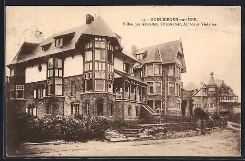 AK Duinbergen-sur-Mer, Villas Les Alouettes, Chanteclair, Ajoncs et Violettes