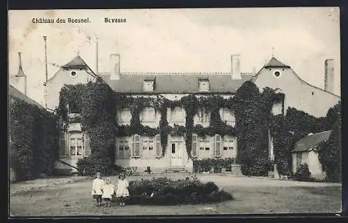 AK Bovesse, Château des Boesnel