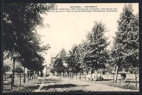 AK Héverlé, Institut du Sacré-Coeur et de l`Immaculée Conception, Une vue au sud