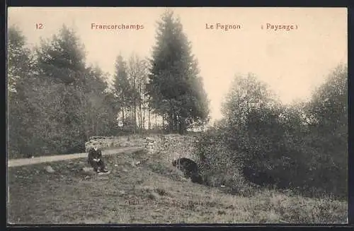 AK Francorchamps, Le Fagnon, Paysage