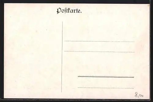 AK Korneuburg, Totalansicht mit Strassenpartie