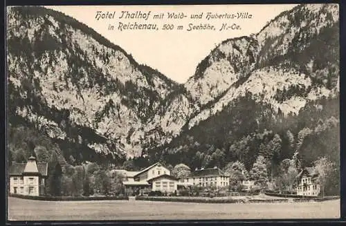 AK Reichenau /N.-Oe., Hotel Thalhof mit Wald- und Hubertus-Villa