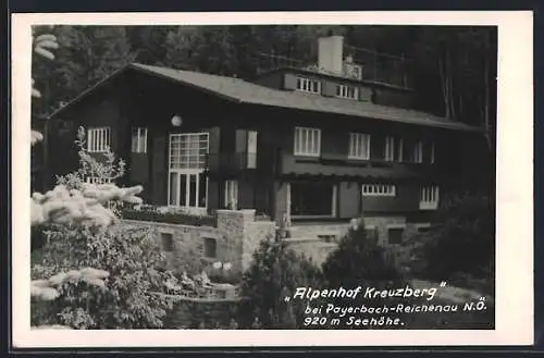 AK Payerbach-Reichenau /N. Ö., Gasthof Alpenhof Kreuzberg mit Gästen aus der Vogelschau