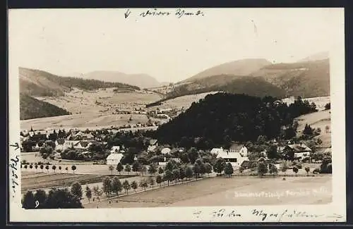 AK Pernitz /N.-Ö., Gesamtansicht mit Umgebung und Bergen