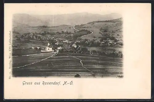 AK Raxendorf /N.-Ö., Gesamtansicht mit Feldern, aus der Ferne gesehen