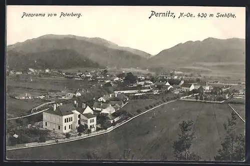 AK Pernitz /N.-Oe., Panorama vom Peterberg aus