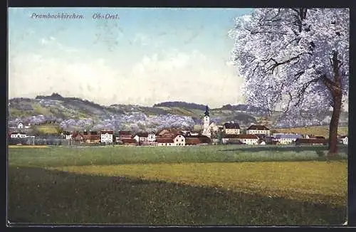 AK Prambachkirchen /Ob.-Oest., Teilansicht bei Baumblüte