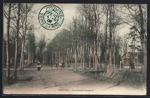 AK Provins, Les Grands Remparts et allée bordée d`arbres