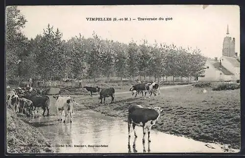 AK Vimpelles, Traversée du gué avec troupeau de vaches