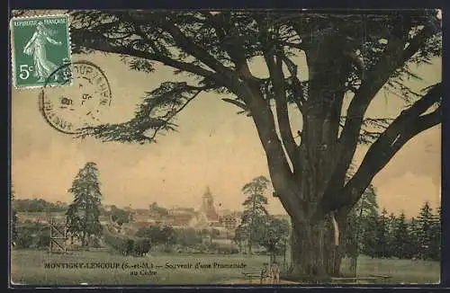 AK Montigny-Lencoup, Souvenir d`une promenade au Cèdre