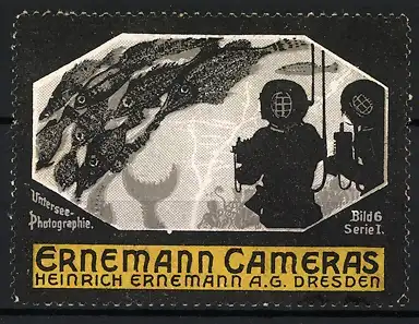 Reklamemarke Dresden, Ernemann Cameras, Untersee-Photographie mit Taucher und Fischen, Tiefseetaucher