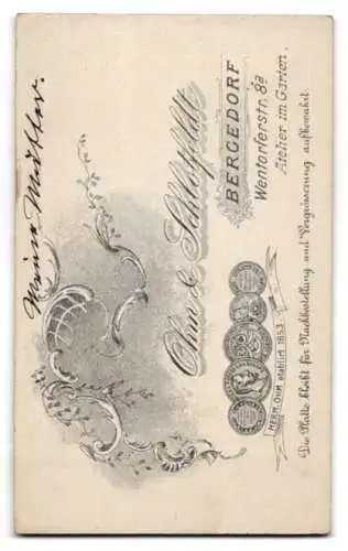 Fotografie Ohm &amp Schlotfeldt, Bergedorf, Wentorferstrasse 8a, Porträt einer Dame