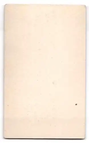 Fotografie Julius Peters, Bergedorf, Brink 10, Porträt einer Dame