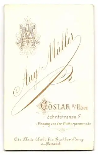 Fotografie Aug. Müller, Goslar, Zehntstrasse 7, Zwei Frauen in eleganter Kleidung