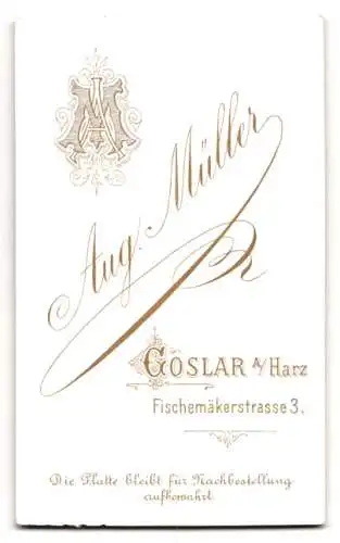 Fotografie Aug. Müller, Goslar, Fischemäkerstrasse 3, Porträt zweier Damen in eleganter Kleidung