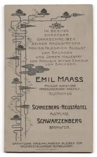 Fotografie Atelier Maass, Schneeberg, Bahnhofstrasse, Porträt eines kleinen Kindes