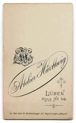 Fotografie Atelier Hartwig, Lüben, Ring Nr. 46, Porträt eines jungen Mannes