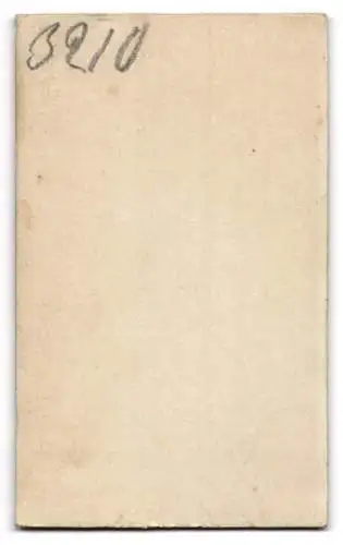 Fotografie Samson & Co., Solingen, Königstrasse 57, Porträt zweier Kinder