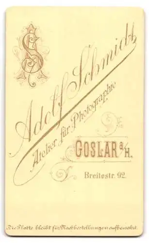 Fotografie Adolf Schmidt, Goslar a. H., Breitestr. 92, Portrait zweier Damen