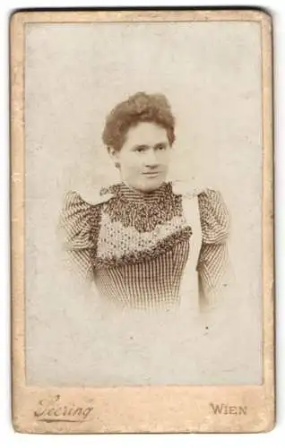 Fotografie Heinrich Seering, Wien, XVI. Liebhartsthal, Portrait einer Dame in gemustertem Kleid