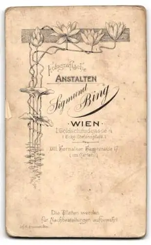 Fotografie Sigmund Bing, Wien, Goldschmiedgasse 4, Porträt eines jungen Mannes