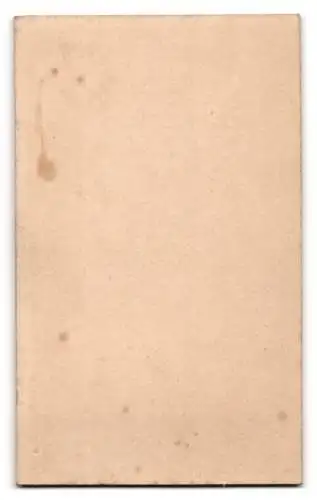 Fotografie R. Heiling & Co., Solingen, Kleinkind auf Fell sitzend