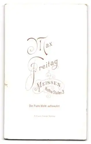 Fotografie Max Freitag, Meissen, Rothe Stufen 3, Kind im Kleid mit Pflanzen