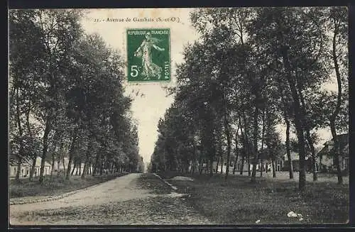 AK Gambais, Avenue bordée d`arbres