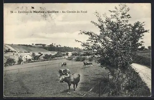 AK Gaillon, Au Chemin du Fossé avec des vaches dans le pré