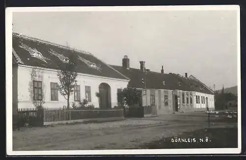 AK Dürnleis /N. Ö., Strassenpartie mit Wohnhäusern