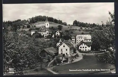 AK Nestelbach, Ortsansicht mit Kirche im Sommer