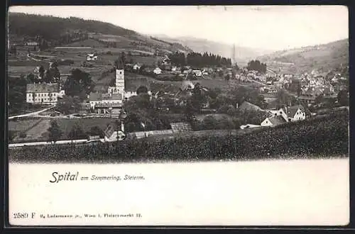 AK Spital am Semmering, Totalansicht von einen Berg aus