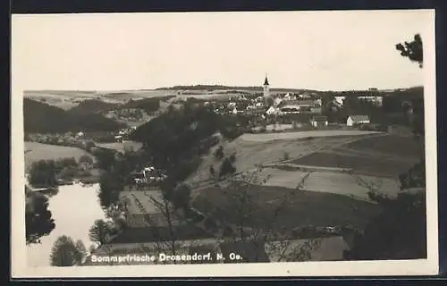 AK Drosendorf /N.-Oe., Ortsansicht mit Flusspartie