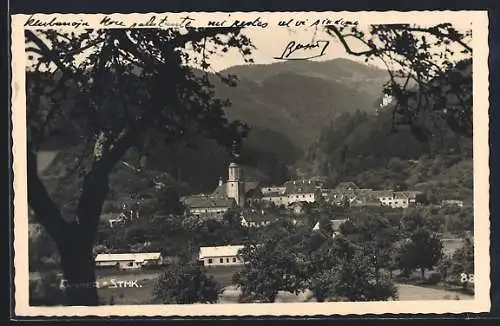 AK Anger /Steiermark, Ortsansicht von einen Berg aus