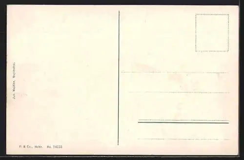 AK Mayrhofen im Zillertal, Ortsansicht mit Grünberg