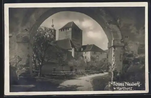 AK Hartberg, Aufgang zum Schloss Neuberg