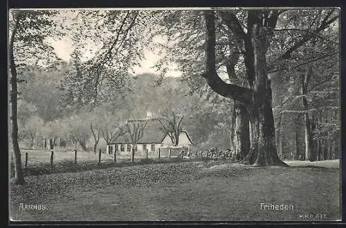 AK Aarhus, Friheden