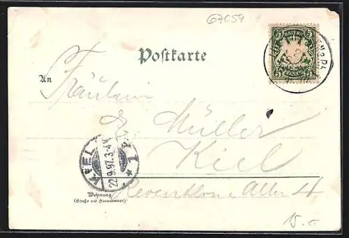 Lithographie Ludwigshafen a. Rh., Ortsansicht, Bahnhof, Markt, Rheinbrücke, Post