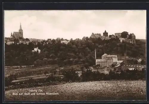 AK Leisnig i. Sa., Blick auf den Ort und Schloss Mildenstein