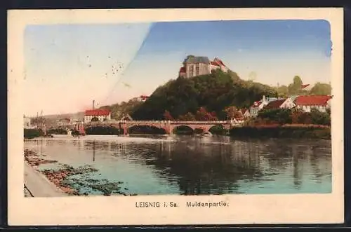 AK Leisnig i. Sa., Muldenpartie mit Schloss