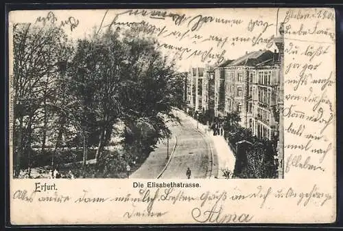 AK Erfurt, Elisabethstrasse mit Bäumen