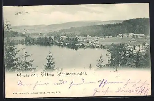 AK Titisee /Schwarzwald, Totalansicht von einen Berg aus