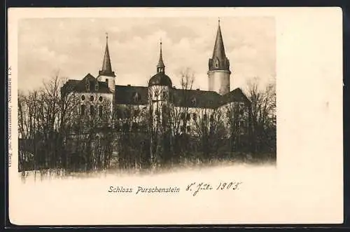 AK Neuhausen /Erzgeb., Schloss Purschenstein