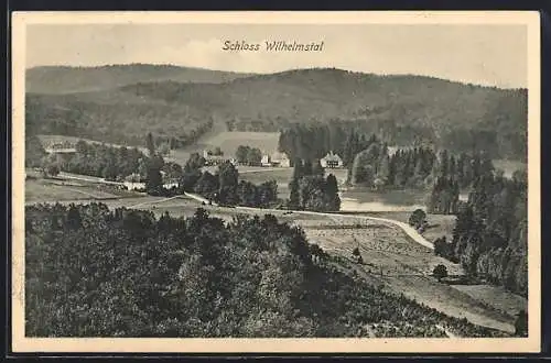 AK Wilhelmstal /Eisenach, Schloss Wilhelmstal aus der Vogelschau